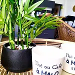 Cosy T3 A 50 M De La Apartamento